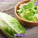 تفسير حلم اكل الخس في المنام لابن سيرين والنابلسي 