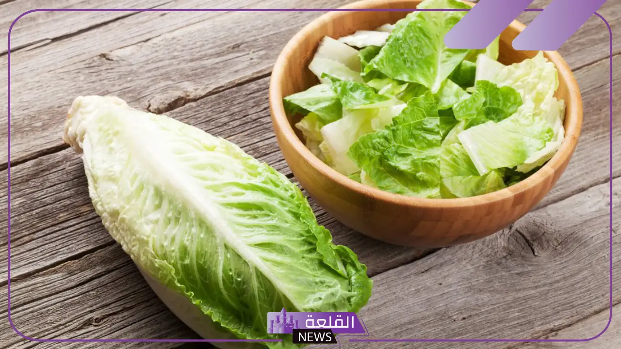 تفسير حلم اكل الخس في المنام لابن سيرين والنابلسي 