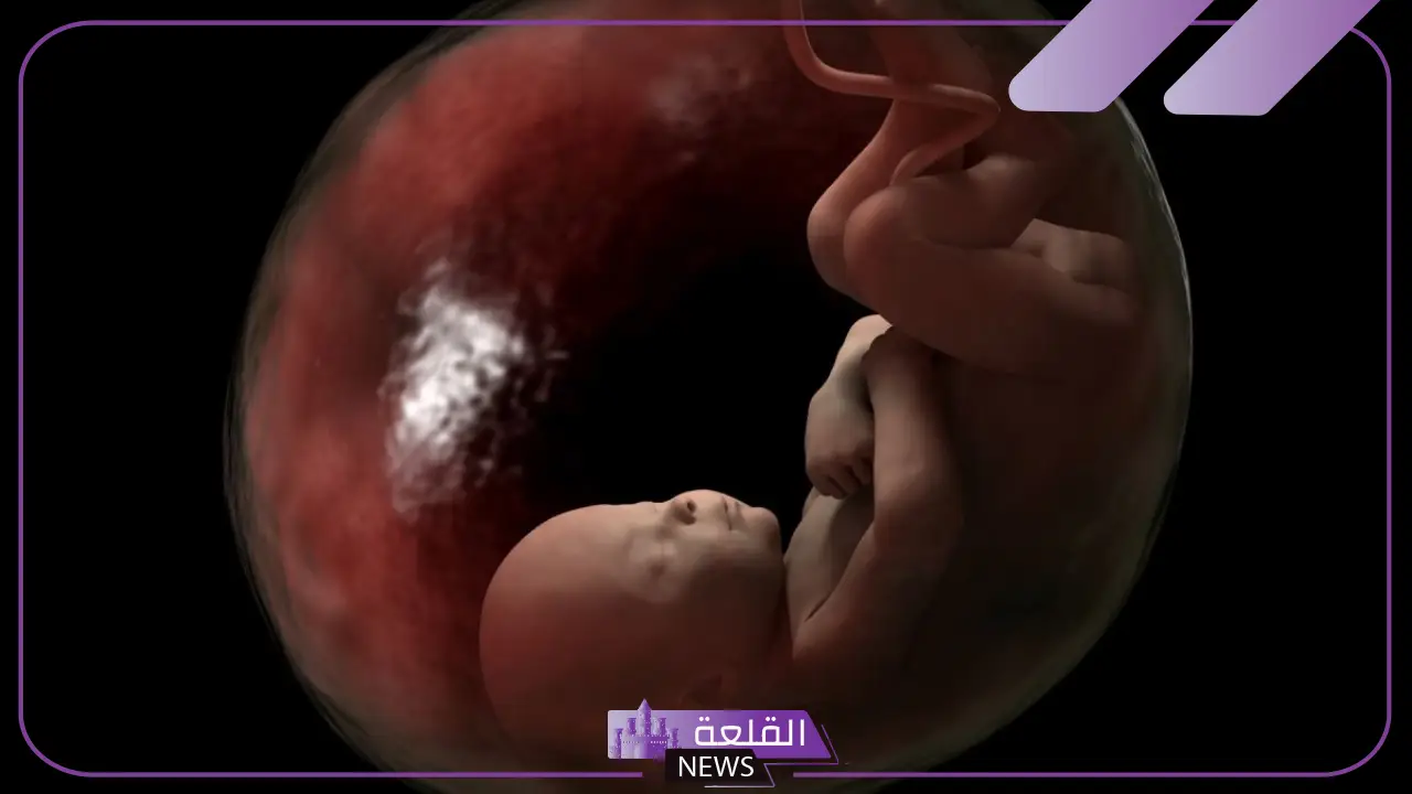 تفسير حلم الاجهاض في المنام للحامل والمتزوجة لابن سيرين 6 ماذا يعني أن تحلمي بالإجهاض؟