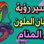 تفسير حلم رؤية الثعابين الملونه في المنام للمتزوجة لابن سيرين