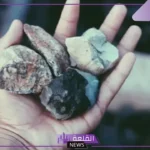 تفسير حلم رمي الحجر على شخص في المنام لابن سيرين
