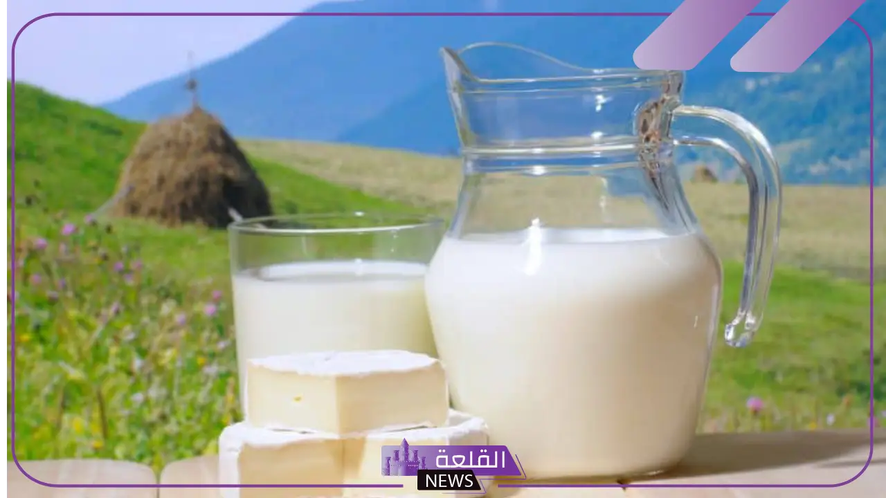 تفسير حلم شرب الحليب في المنام للعزباء والمتزوجة لابن سيرين 6 اللبن في المنام لابن سيرين
