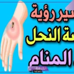 تفسير حلم قرص النحل في المنام للمرأة والرجل لابن سيرين