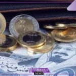 خلال يناير 2025.. السعودية تتمكن من جمع 3.7 مليار ريال من إصدارات صكوك يناير