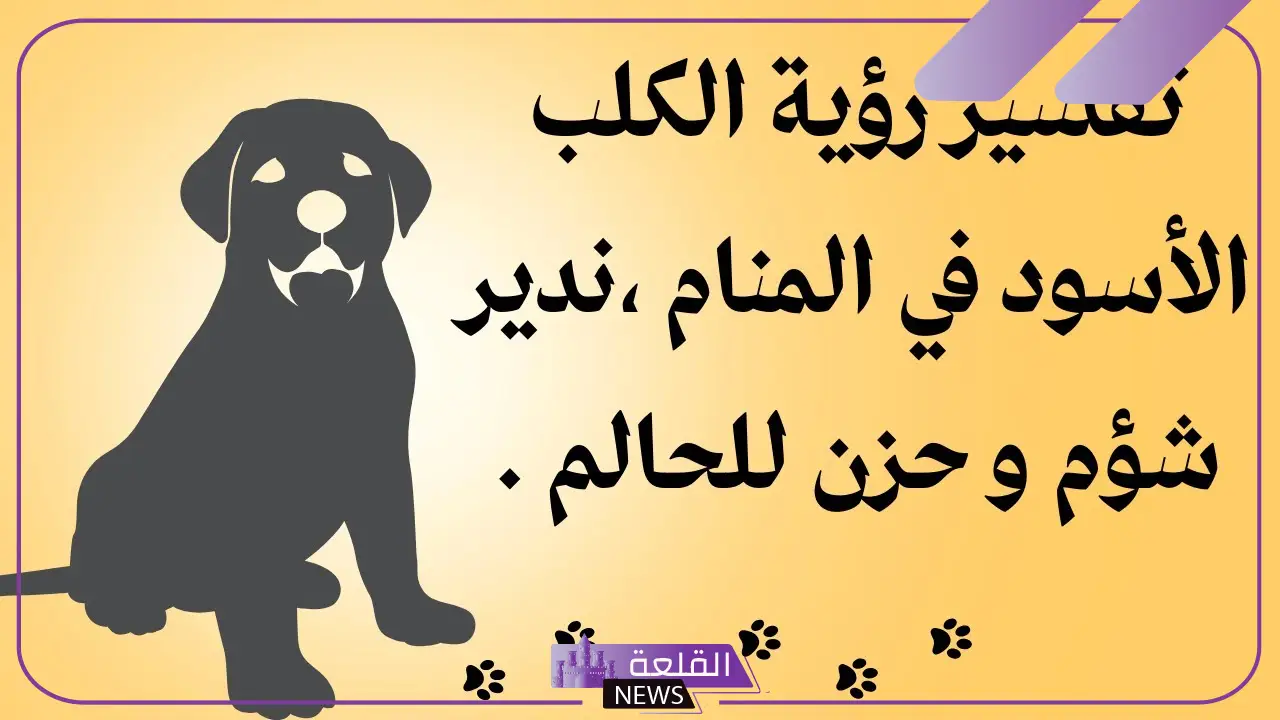 تفسير حلم كلب يلاحقني ويجري ورائي لابن سيرين 6 تفسير حلم كلب يلاحقني للعزباء