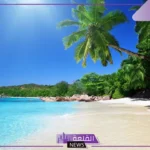 تفسير رؤية شاطئ البحر في المنام للمتزوجه والبحر في المنام لابن سيرين