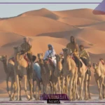 شجرة عائلة العواد بالبطون والفروع والفخوذ