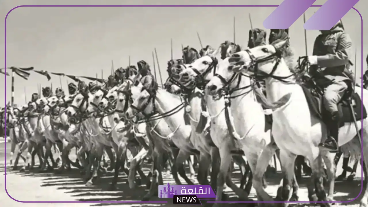 العويس وش يرجع نسبه، فروع شجرة عائلة العويس 5 قبائل العويس