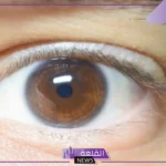 8 خطوات فقط.. كيف تحافظ على صحة بصرك من إرهاق العيون