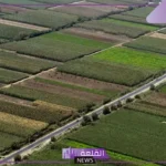 قدم الآن.. طريقة الحصول على أرض 2000 فدان بالإجراءات المطلوبة والأوراق