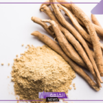 موجودة في المنزل.. عشبة تعمل على تقوية الذاكرة والحماية من سرطان البروستاتا