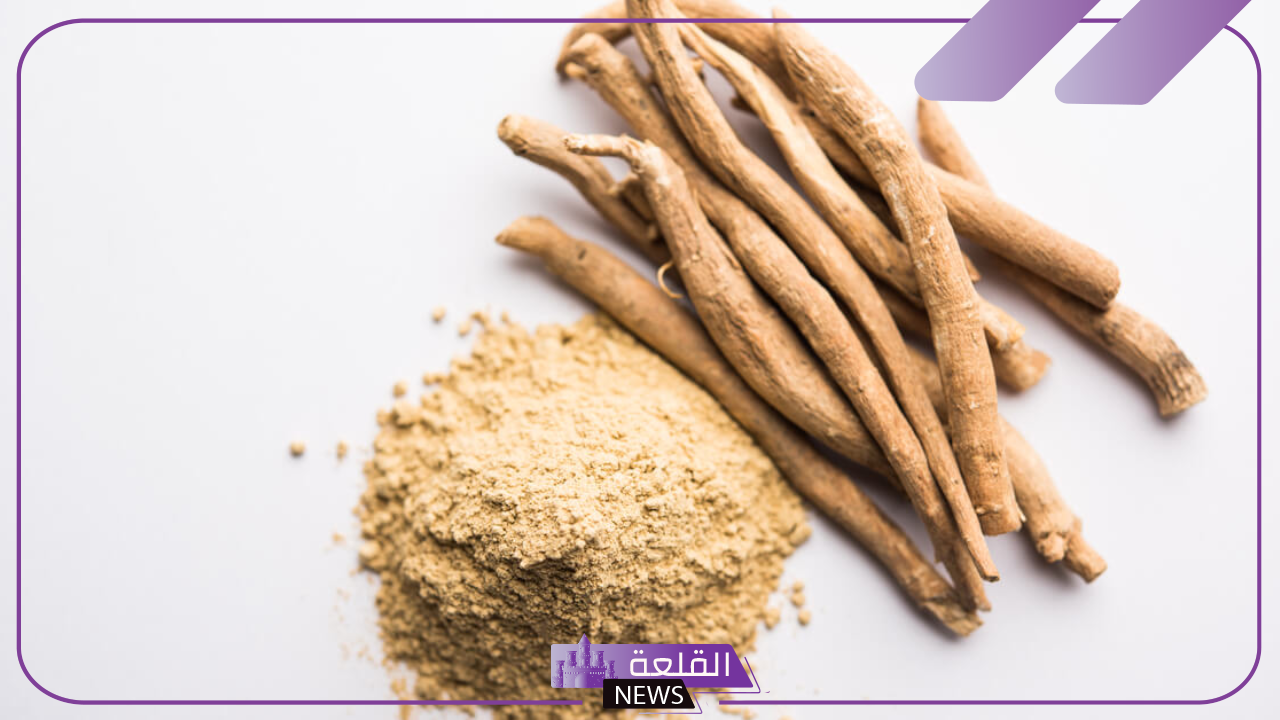 موجودة في المنزل.. عشبة تعمل على تقوية الذاكرة والحماية من سرطان البروستاتا
