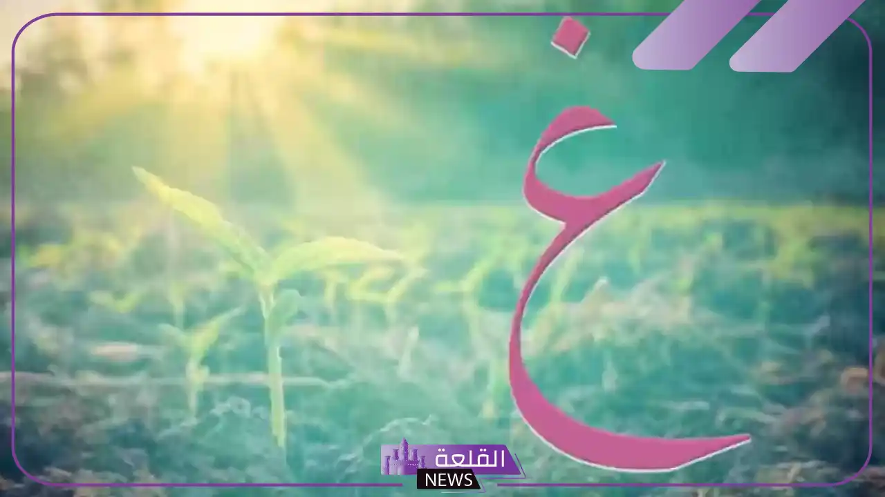 اسم فاكهه بحرف غ معروفة.. أسماء فواكه تبدأ بحرف عين 5 فاكهه بحرف غ مميزة