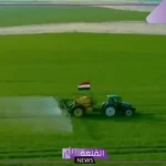 بشكل رسمي.. مصر تعلن ارتفاع وزيادة الرقعة الزراعية لأكثر من 10.4 مليون فدان