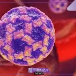 احذروا منه.. تحذير من فيروس نورو “ينتشر من خلال الملابس”