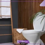 تفسير حلم قضاء الحاجة في الحمام للرجل والمرأة للنابلسي