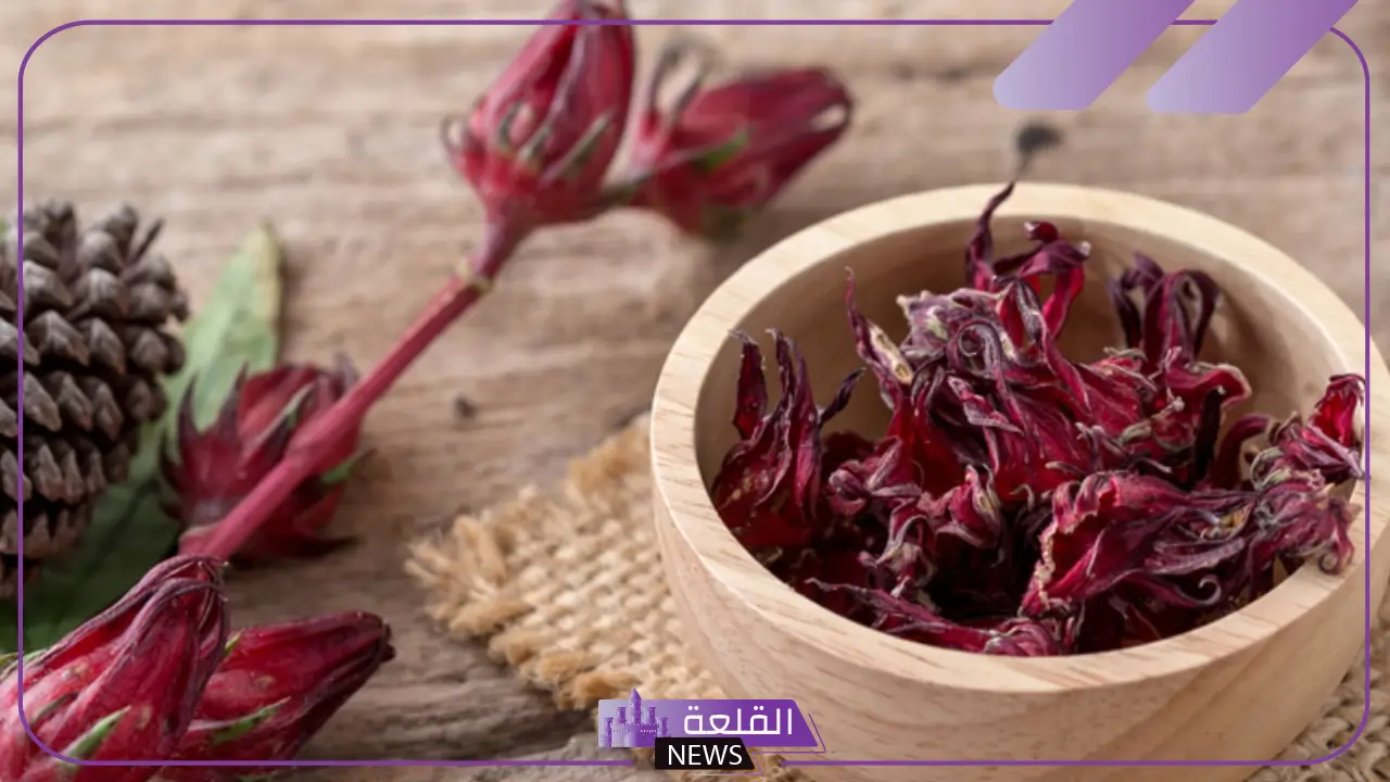 ما الأفضل لمرضى الضغط؟ الكركديه البارد أم الكركديه الساخن؟ 5 فوائد الكركديه لمرضى الضغط العالي