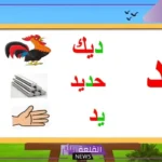 كلمات بحرف د للاطفال شهيرة.. كلمة تبدأ بحرف دال