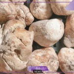 بشكل رسمي.. المملكة تعلن تطبيق غرامات تبلغ 100 ألف ريال بسبب الفقع