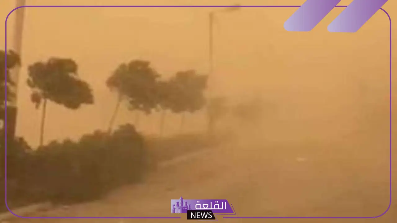 حتى الإثنين القادم.. هيئة الأرصاد تحذر من الرياح والغبار وانخفاض درجات الحرارة