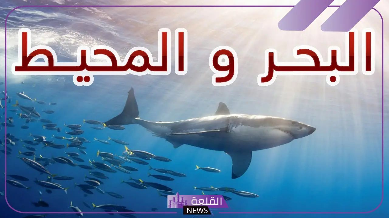 الفرق بين المحيط والبحر في الموقع الجغرافي للأطفال 6 ما يميز المحيط عن البحر؟