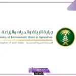 رسميًا.. بدء إطلاق مشروع مراقبة مخالفات مصادر المياه واستخداماتها