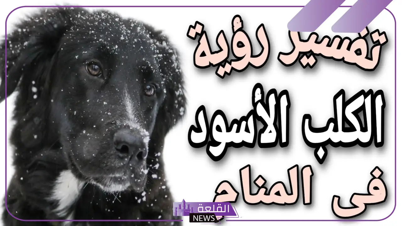تفسير حلم كلب يلاحقني ويجري ورائي لابن سيرين 5 أسرار رؤية كلب يلاحقني في المنام وكشف رموزه