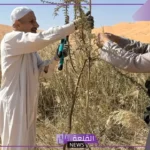 ما قصتهم؟ سعوديون يقومون بنثر 22 مليون بذرة خلال الربع الخالي