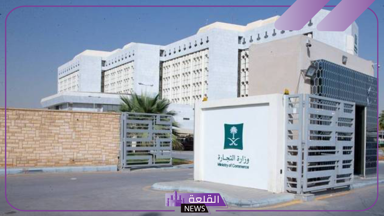 بنسبة 22%.. وزارة التجارة تعلن نمو السجلات التجارية بقطاع التعليم