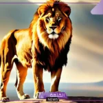 أسماء الأسد كلها ومعلومات هامة عن حياة الأسد
