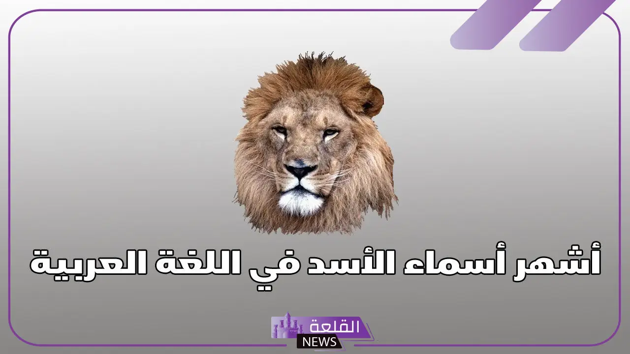 أسماء الأسد كلها ومعلومات هامة عن حياة الأسد 5 أسماء الأسد كلها قصيرة
