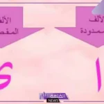 كلمات تنتهي بألف ممدودة على صورة الياء