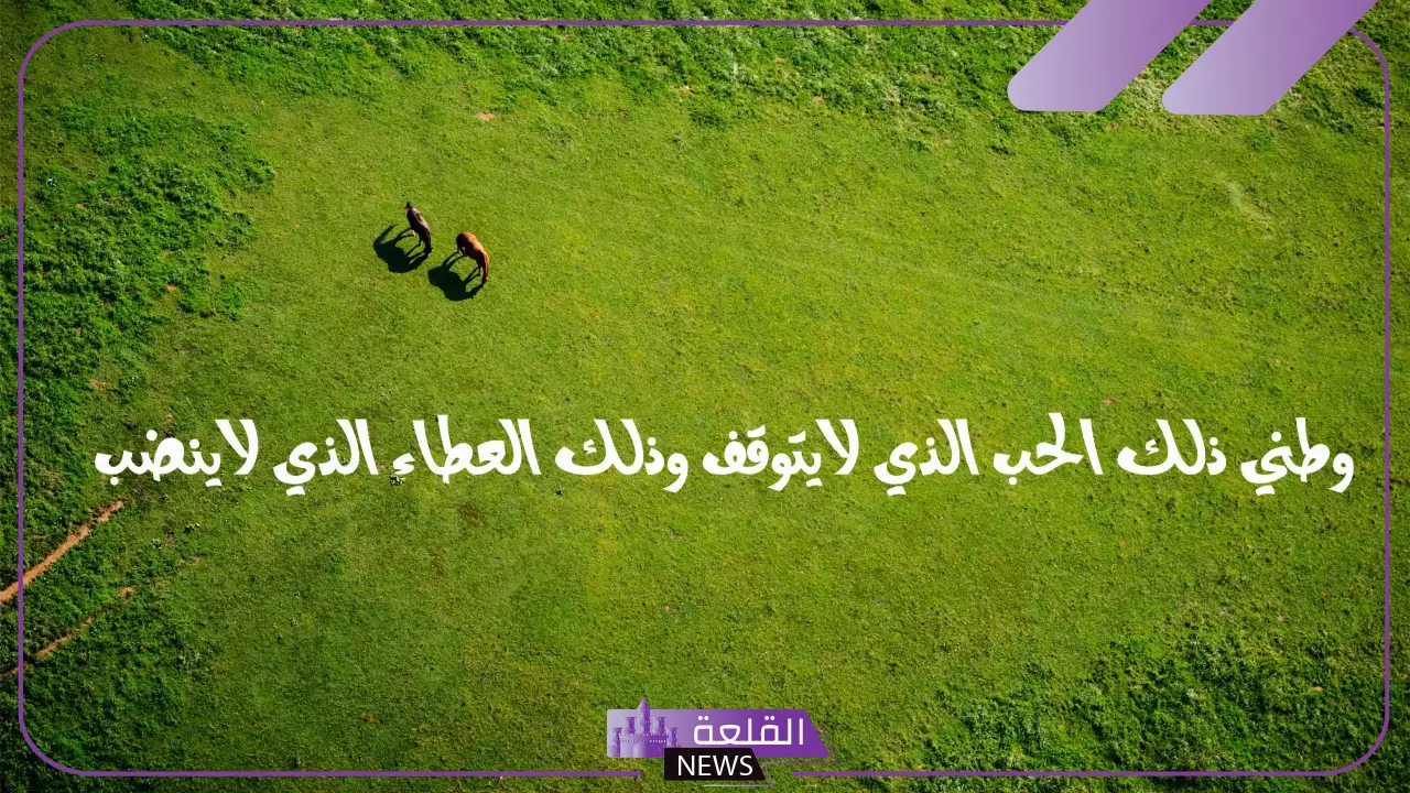 اجمل عبارات عن الوطن الغالي وحب الوطن، تغريدات عن وطني 5 باقة من أجمل العبارات والأشعار للوطن