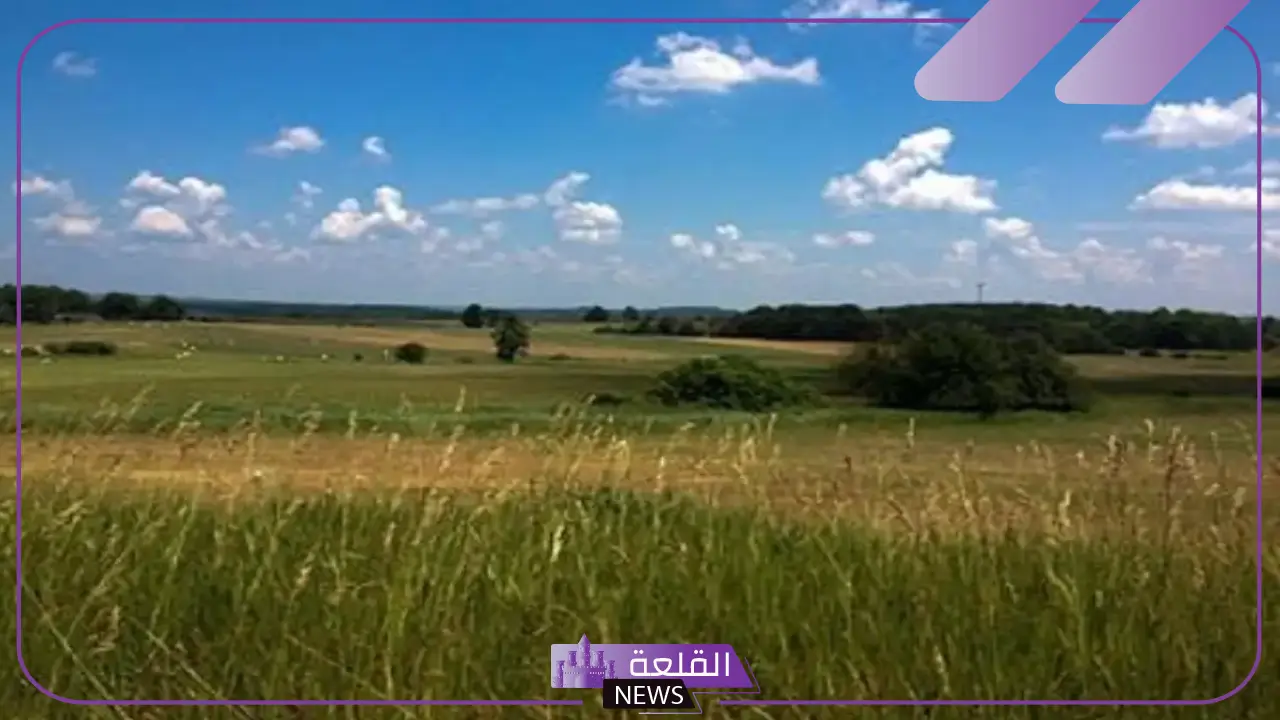 تفسير حلم دخول ارض خضراء واسعة لابن سيرين 6 تفسير حلم ارض خضراء للمتزوجة