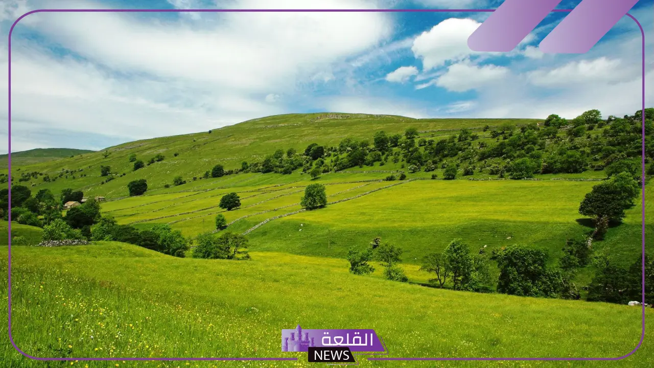 تفسير حلم دخول ارض خضراء واسعة لابن سيرين