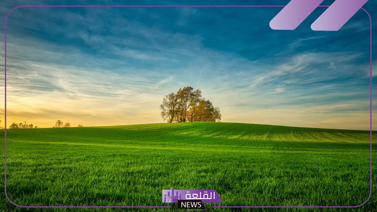 تفسير حلم دخول ارض خضراء واسعة لابن سيرين 5 الأرض الخضراء في حلم العزباء