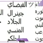 اسماء مستعارة حلوة للشباب مختلفة جديدة 2025