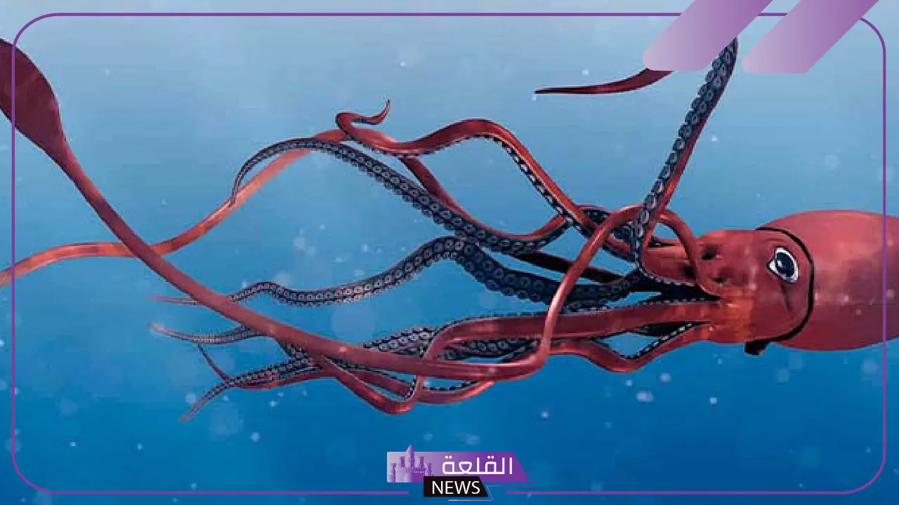 أضخم الحيوانات اللافقرية بالأنواع وكيف تعيش 5 قائمة بأضخم الحيوانات اللافقرية وأماكن تواجدها