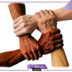 حكمة عن التعاون على كل ما فيه خير، أشهر عبارات عن التعاون والعمل الجماعي