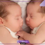 تفسير حلم رؤية التوأم في المنام للرجل والمرأة لابن سيرين