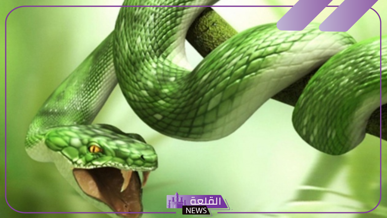تفسير حلم الثعابين الملونة في المنام ورمزها لابن سيرين