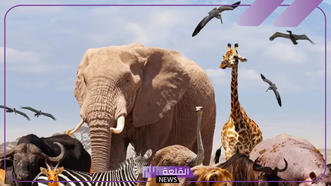 ما هي الحيوانات الدالة على الحسد في المنام لكبار المفسرين