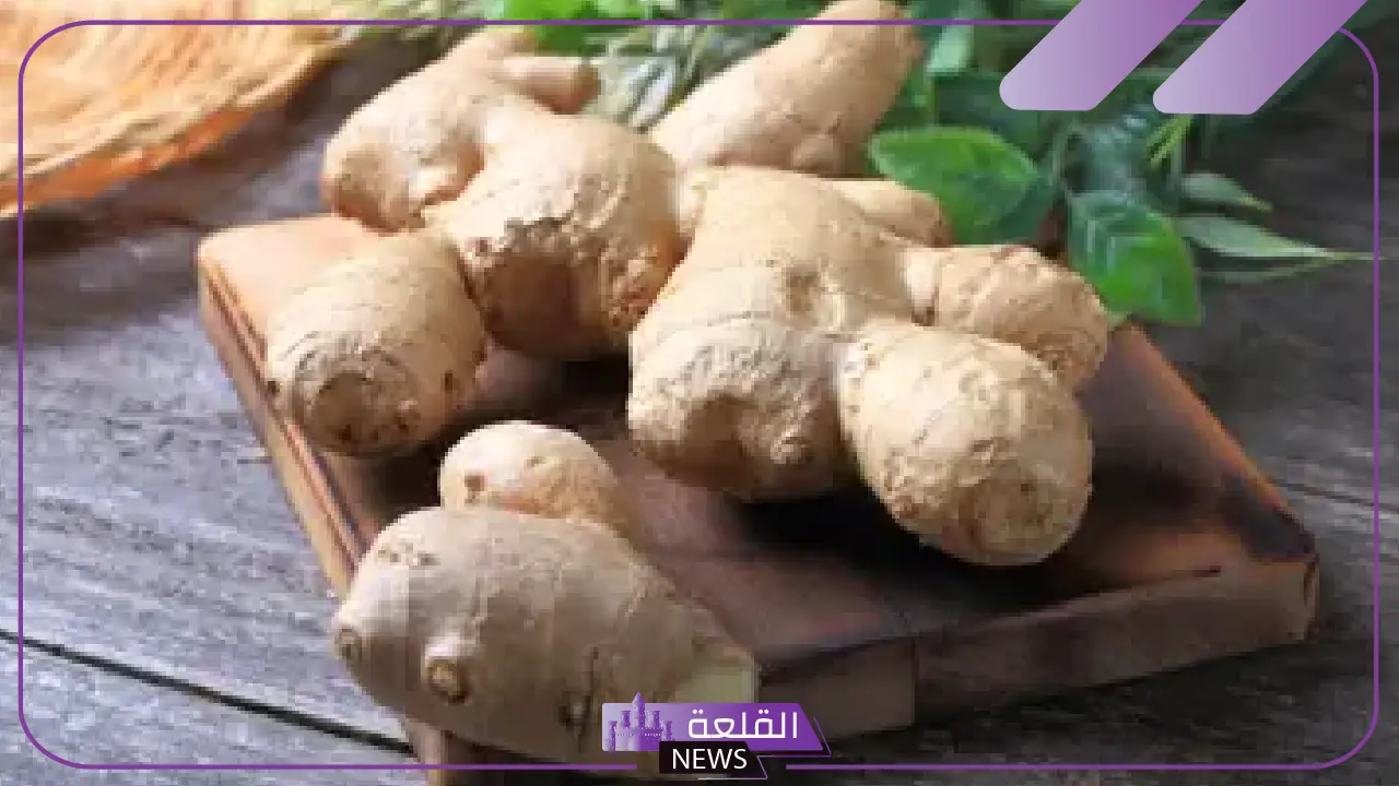 هيئة الغذاء والدواء: جميع الادعاءات حول الزنجبيل غير صحيحة وليس لها أسس علمية