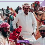 السياري وش يرجعون أصلهم ونسبهم من وين