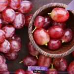  تفسير حلم العنب في المنام وألوانه لابن سيرين للعزباء