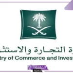 تعرف على الاشتراطات.. وزارة التجارة توضح ضوابط التخفيضات التجارية