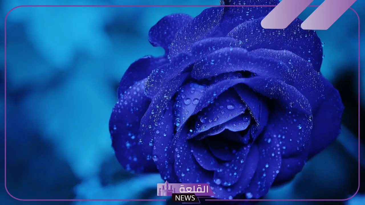 تفسير حلم رؤية اللون الكحلي في المنام لابن سيرين والنابلسي 5 رمز اللون الكحلي في الحلم