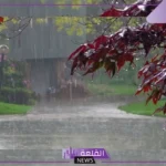 تفسير حلم نزول المطر على شخص في المنام لابن سيرين والنابلسي