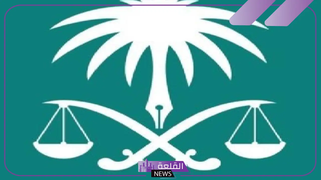 غرامة وسجن.. النيابة العامة تحذر من انتحال ذوي الإعاقة للحصول على مميزات غير مشروعة