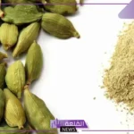 تفسير حلم الهيل ورمزه في المنام لكبار العلماء والمفسرين